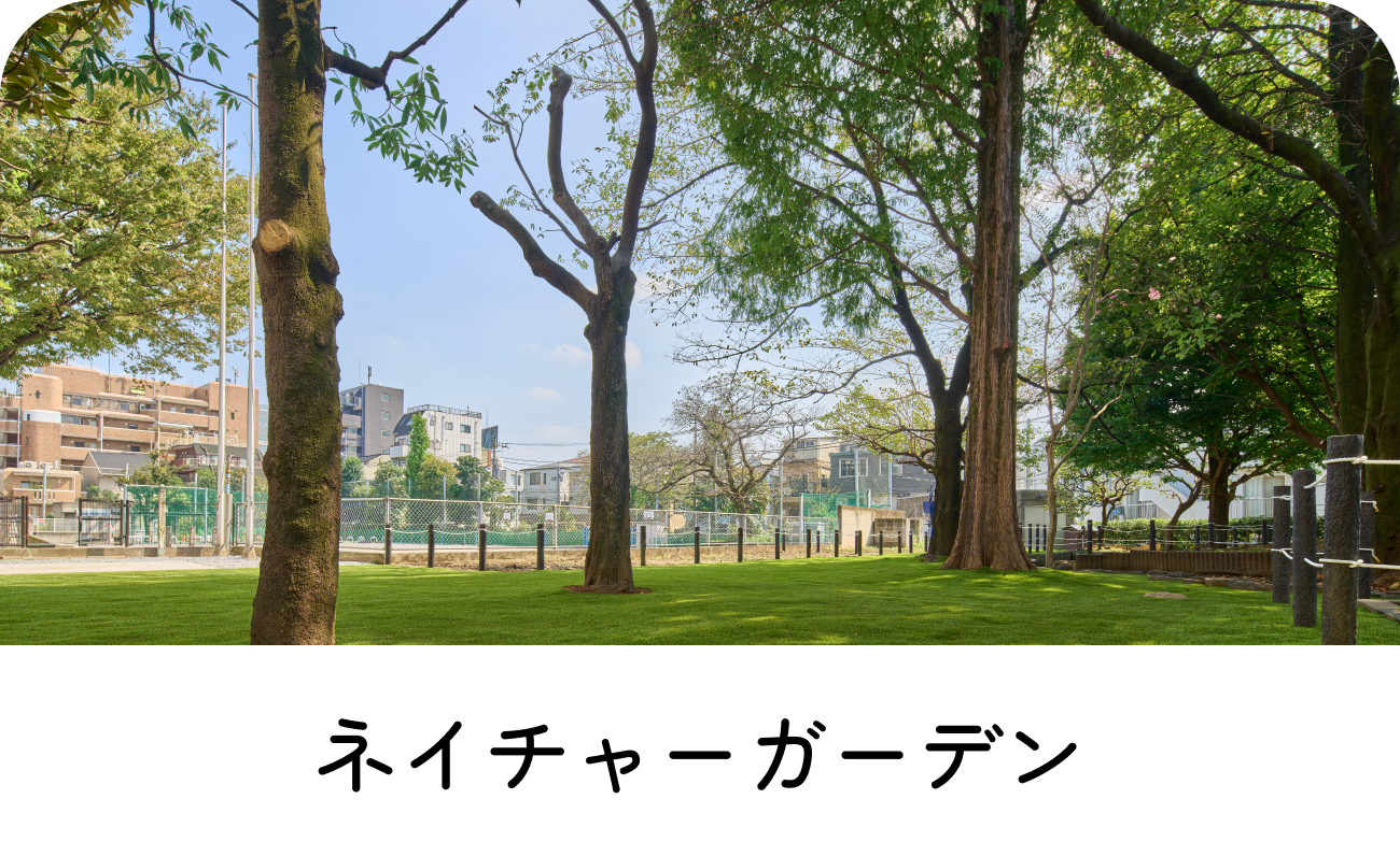 ネイチャーガーデン